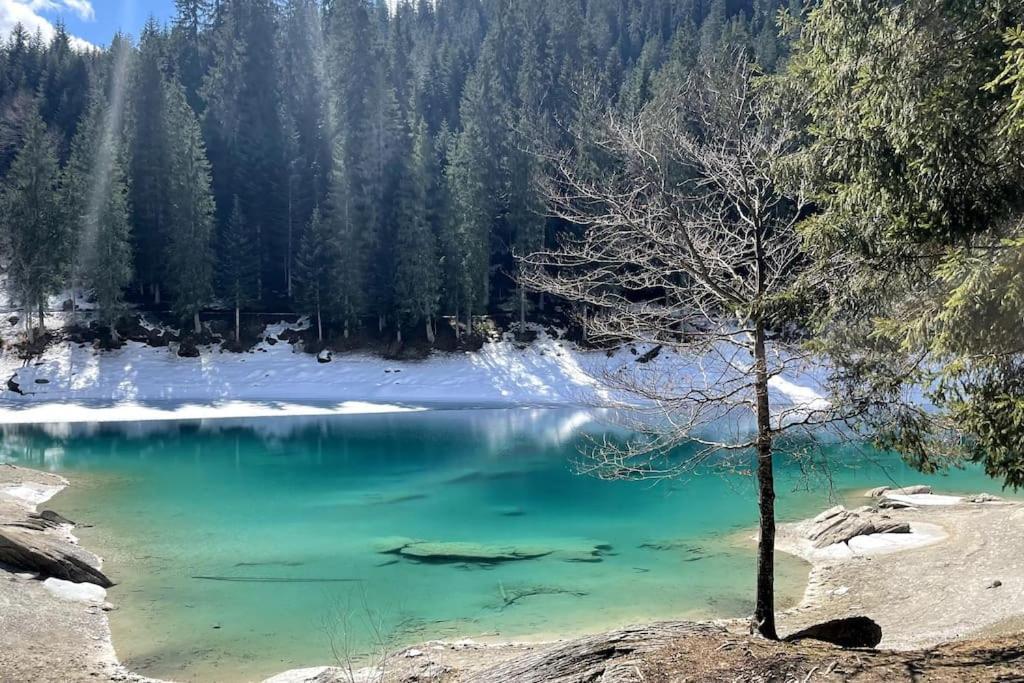 Swiss Chalet Near Flims Trin Buitenkant foto